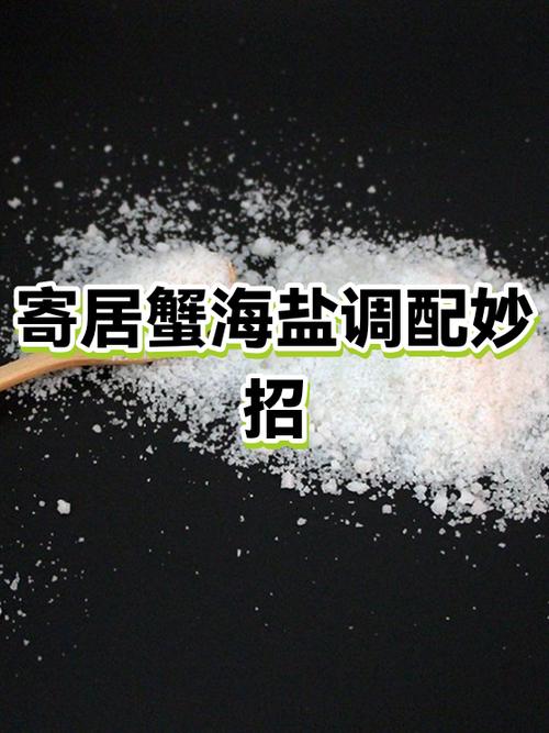 海盐起什么作用