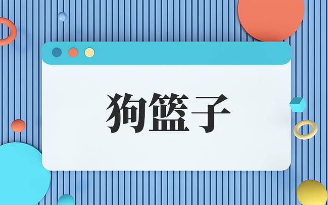 狗篮子是啥意思