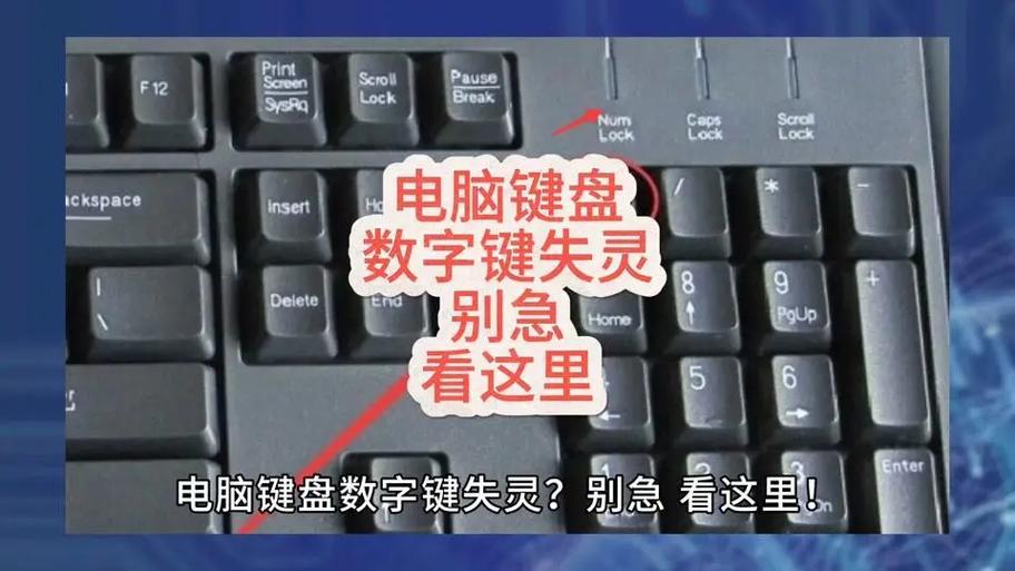 键盘没有数字键怎么办