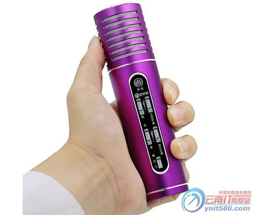 屁颠虫麦克风话筒怎么没声音