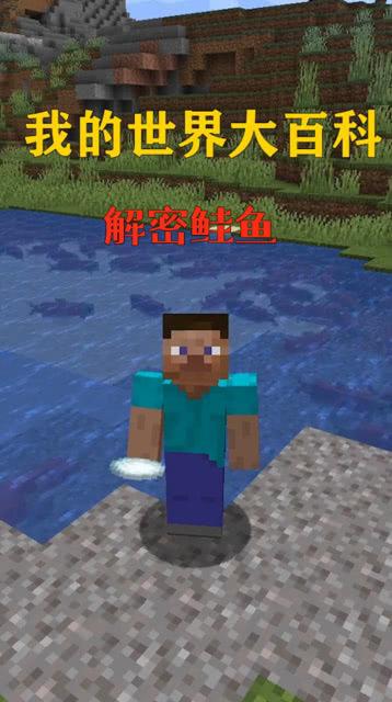 我的世界生鲑鱼代码