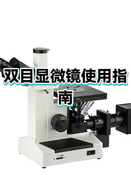 双目显微镜正确使用步骤详解