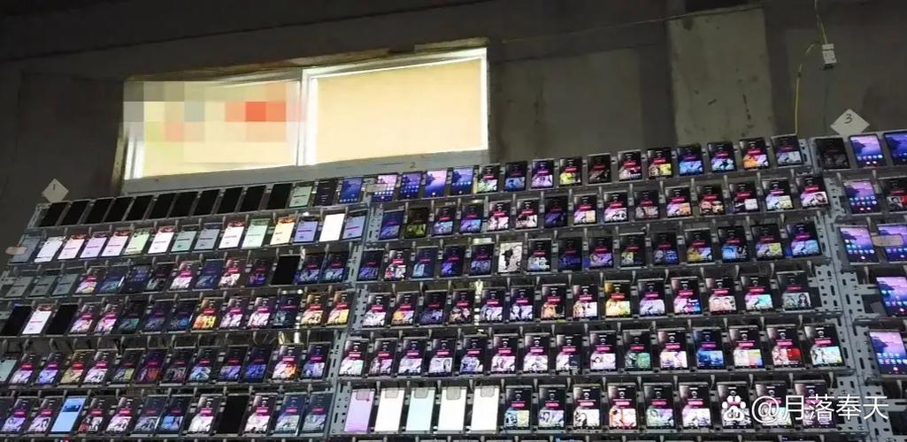 直播间自动刷屏打字的软件截图3