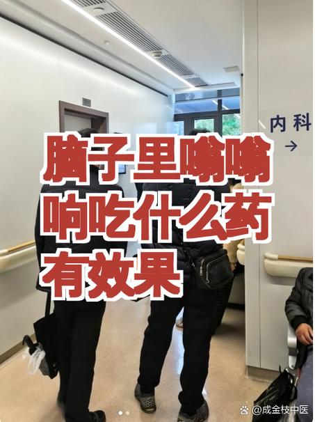 脑子里嗡嗡响吃什么药有效果