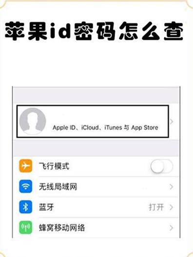 如何查看AppleID密码
