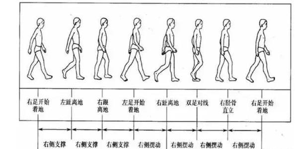 大步走路和小步走路 大步走路和小步走路