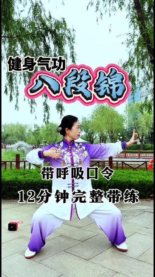八段锦全套完整教学视频下载截图3
