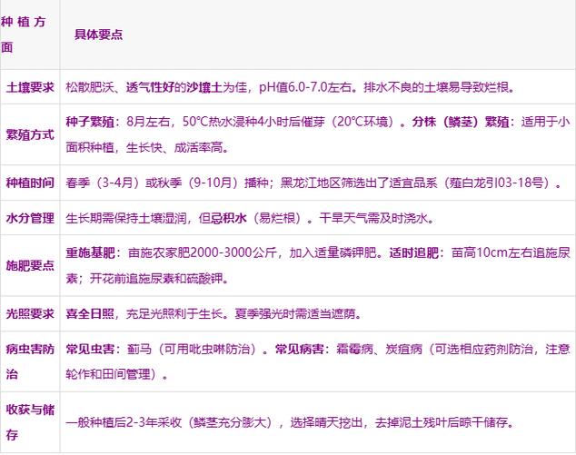 藠头是癌细胞最喜欢吃的吗