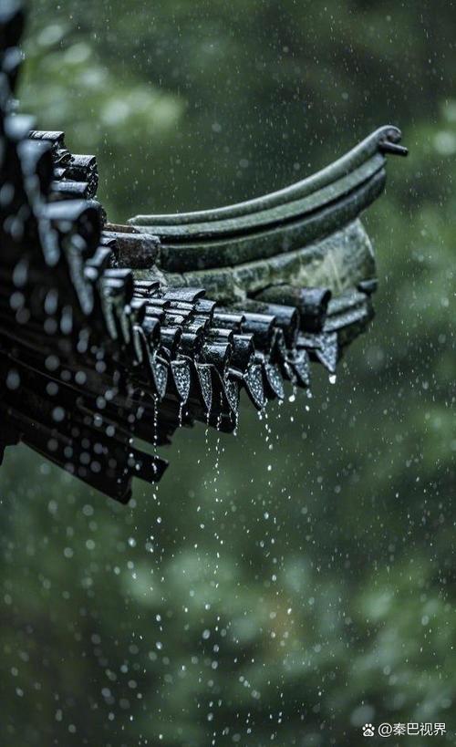 《雨滴》刘宇