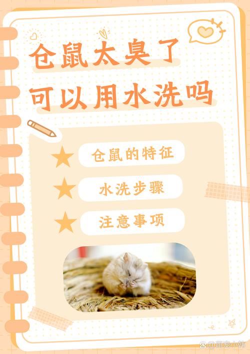 能给仓鼠洗澡吗截图3