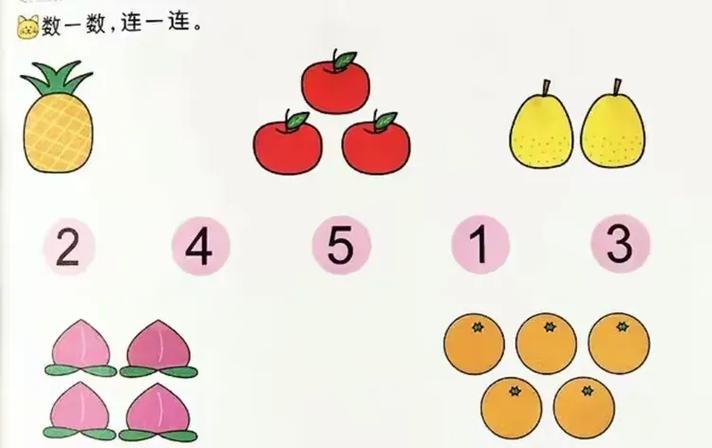 数物结合