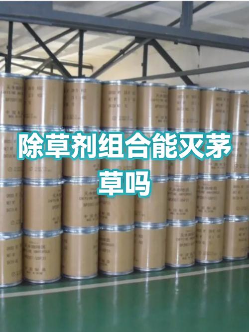甘灵二号的功效与作用