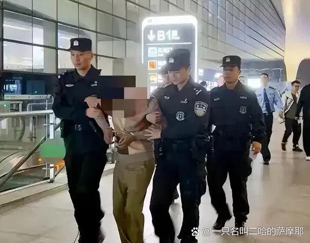 刑警有多危险