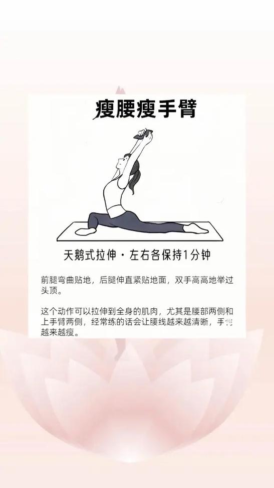 瑜伽视频教程初级在家练全套视频