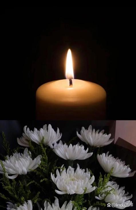 哀悼花图片截图2