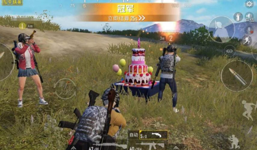 和平精英死党是什么意思截图3