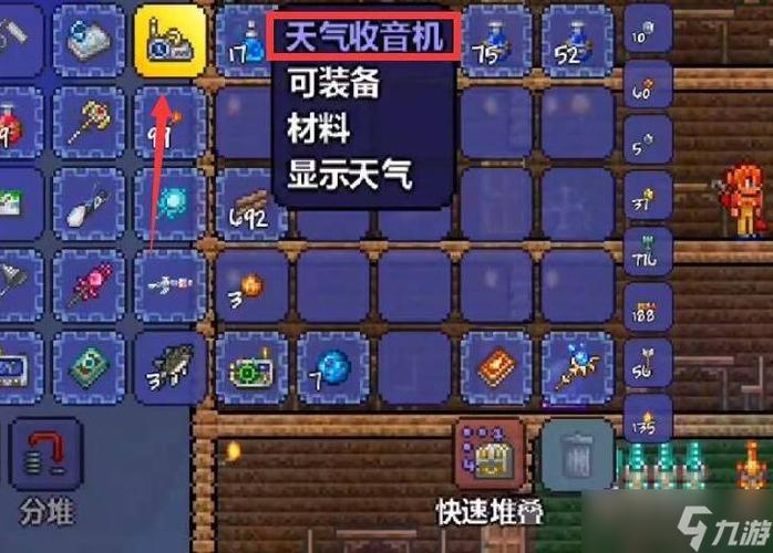 泰拉瑞亚天起