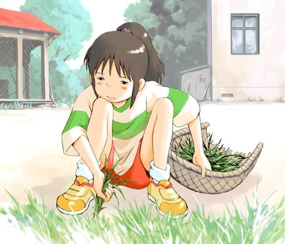 千寻菠菜宝