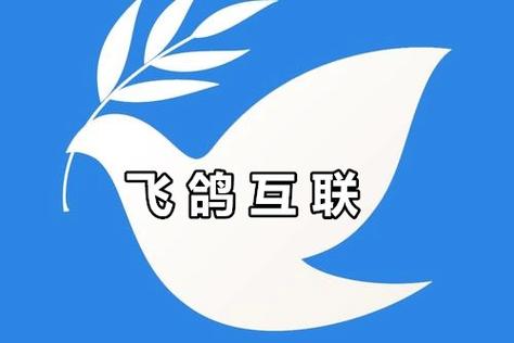 飞鸽下载安卓