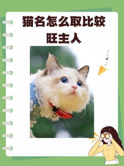 喵字好听稀少的名字