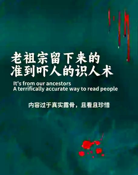 弹幕能看到是谁发的吗
