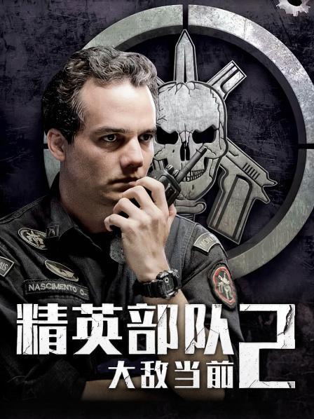 精英部队2