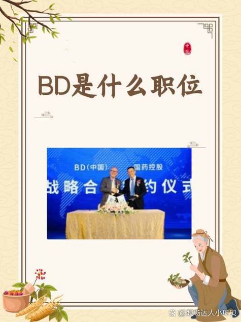 BD岗属于什么档次