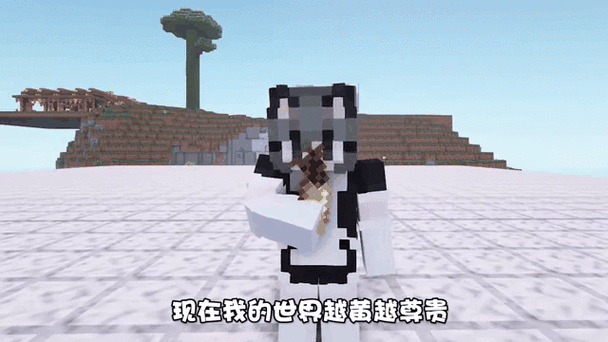 我的世界时间停止流动