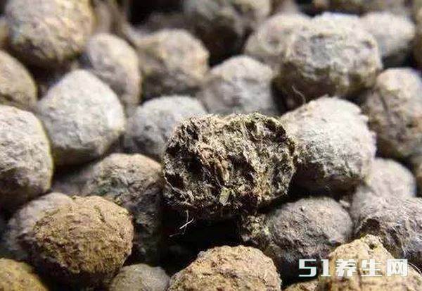 望月砂多少一斤