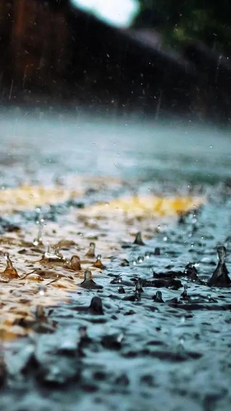 小雨滴答滴答的下好像