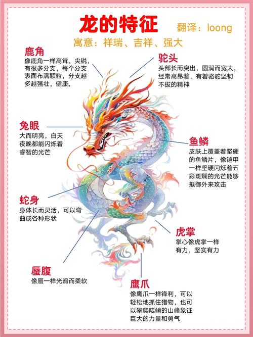 新办的龙卡通取现有限额么