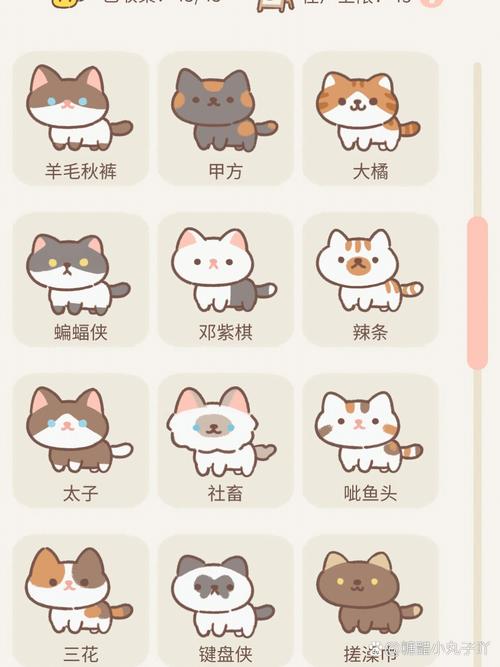 遇见你的猫正版