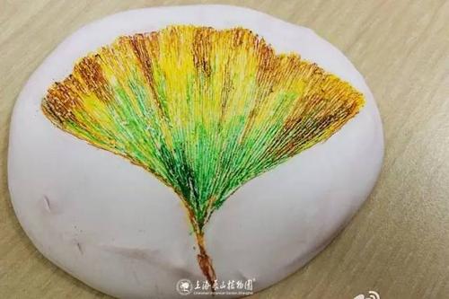 树叶化石怎么做 树叶化石怎么做