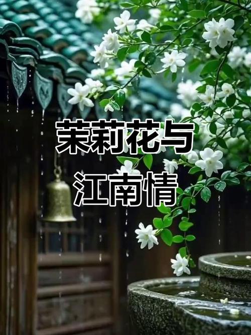 江南这朵花