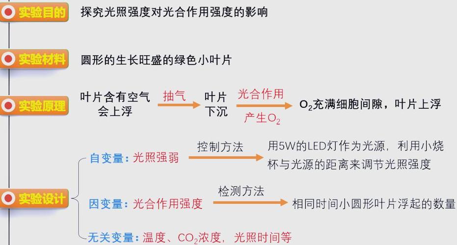 光合作用强度与光质有关吗