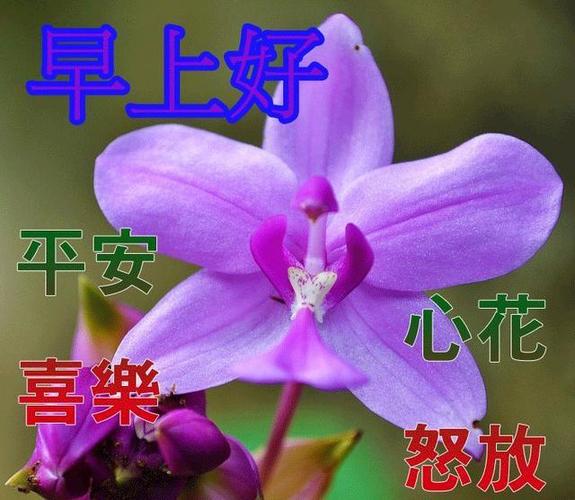 男人说好累,女人怎么回答