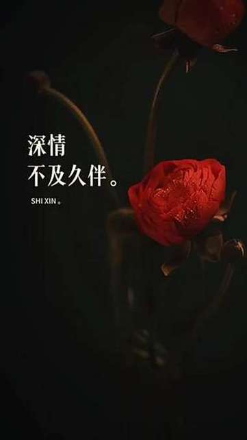 石头文案最火走心文案