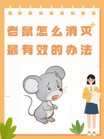 驱赶老鼠的最好办法