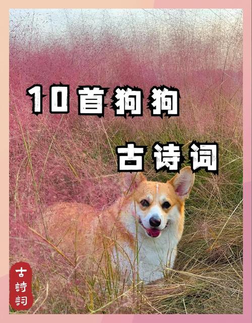 柴门闻犬吠暗示着什么