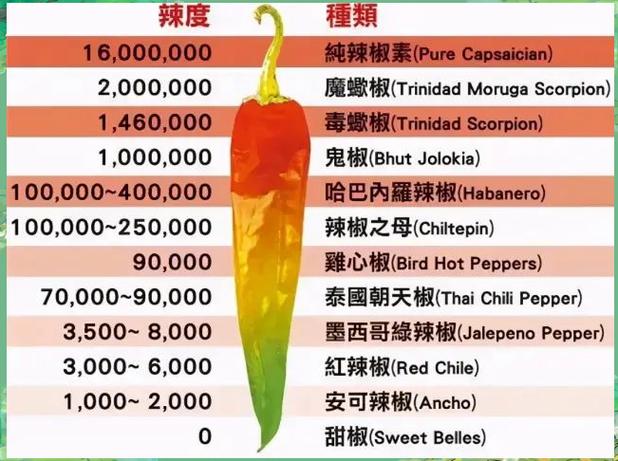 辣度10万是什么概念