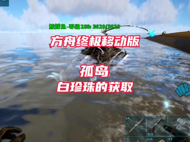 荒野求生珍珠哪些地方可以获得