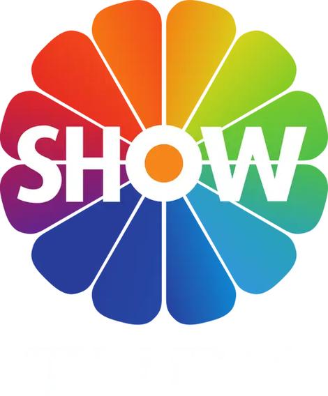 showdesktop图标没了