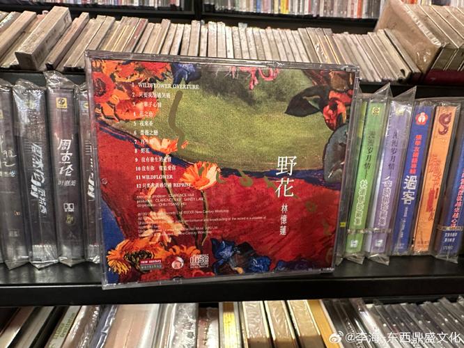《野花》原唱最火的十首歌