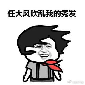 风中秀发表情包截图1