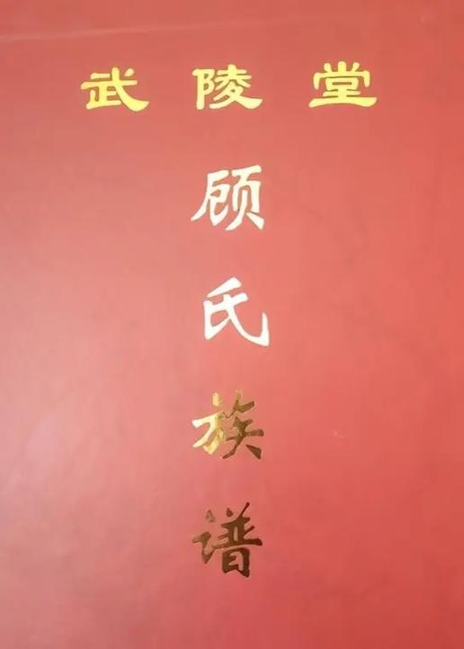 男主叫萧衍女主姓顾的小说