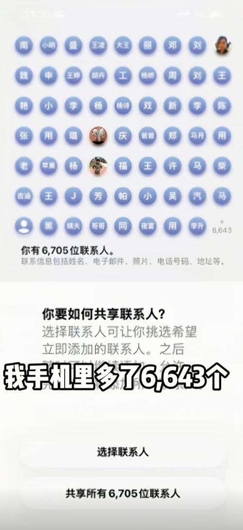 联系人手机是什么意思