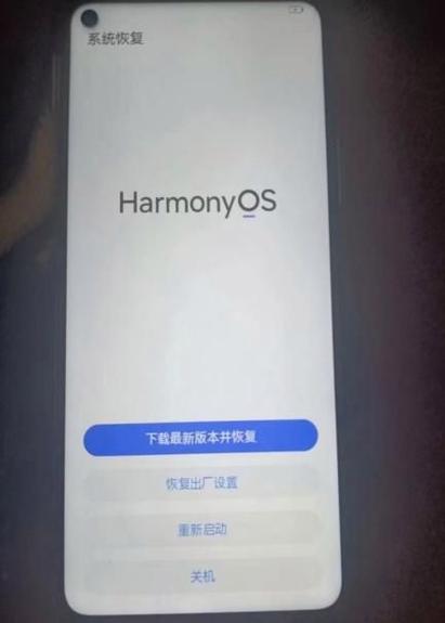 手机格式化了怎么恢复照片