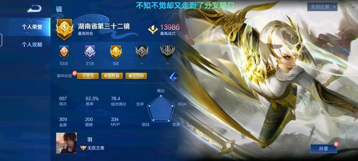 打野10段什么水平截图3