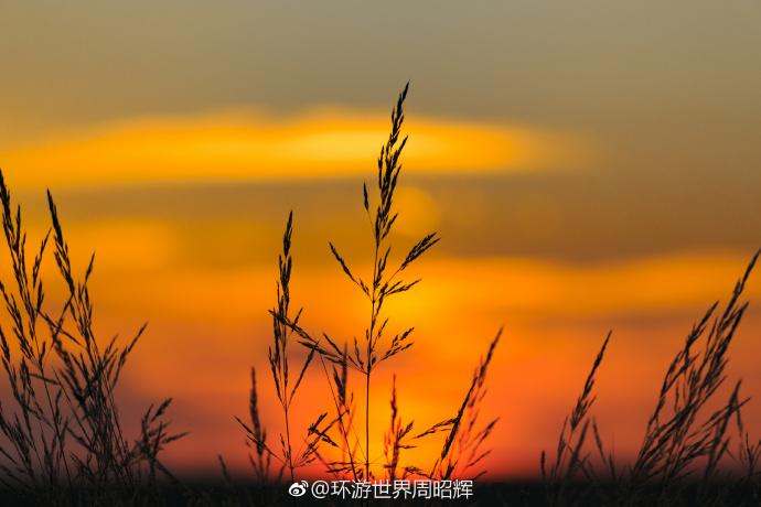 晨光微曦还是晨光熹微
