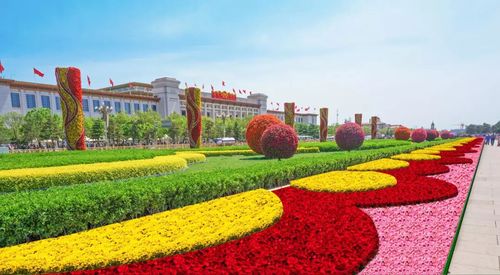 国庆花坛常用花卉绿色